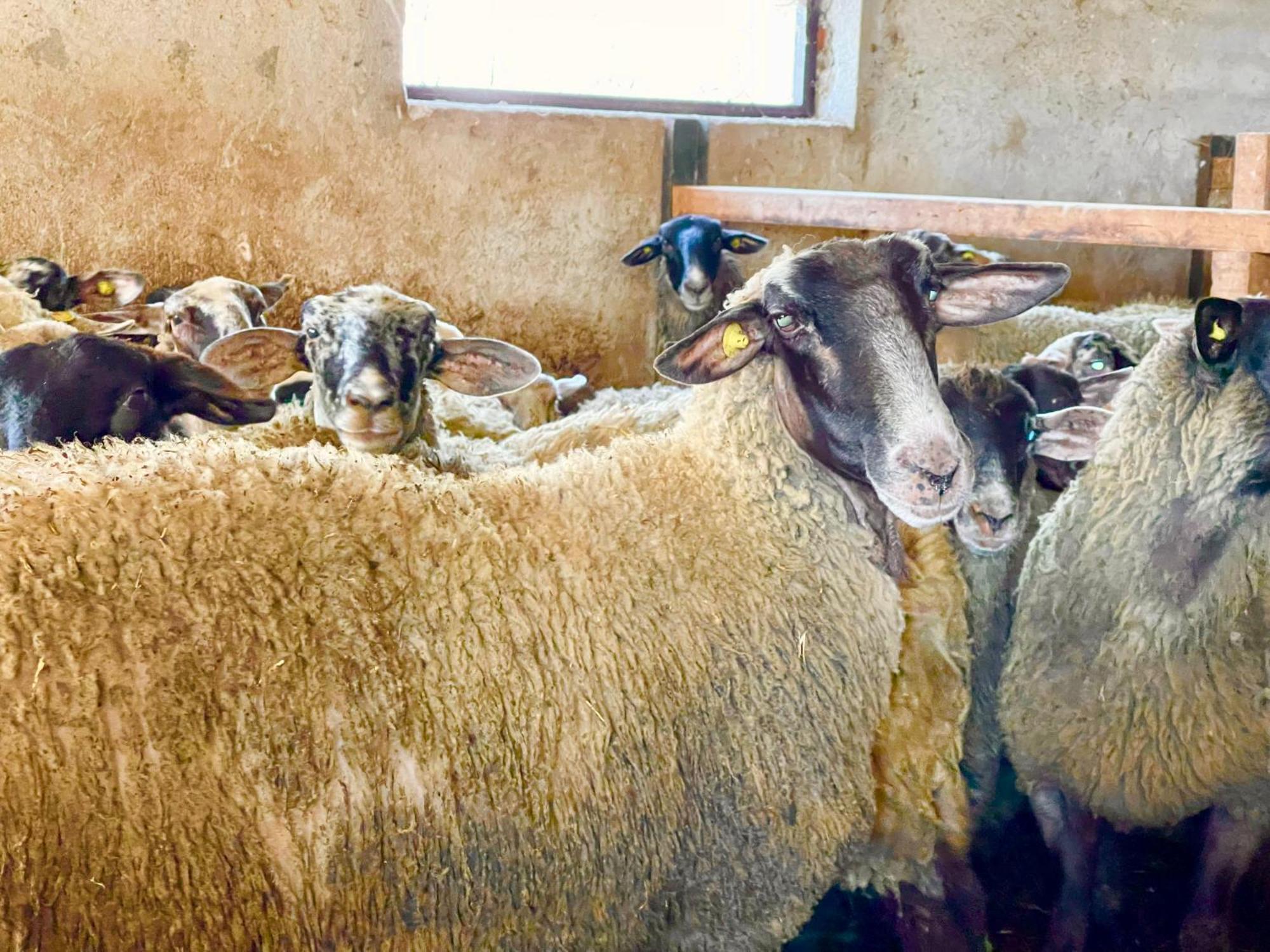 Casale Rotoloni Villa Protte Bagian luar foto